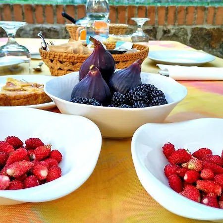 Colle Del Barbarossa Farm stay *