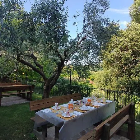 Farm stay Colle Del Barbarossa *