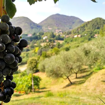 Farm stay Colle Del Barbarossa *