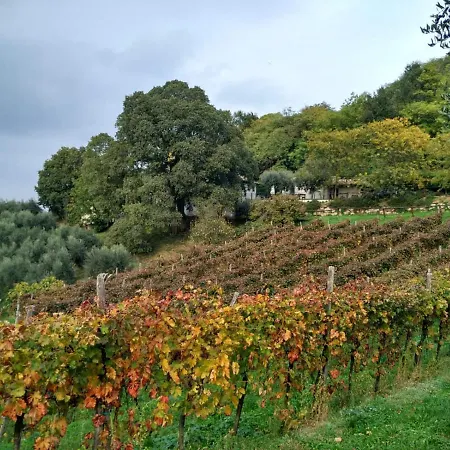 Colle Del Barbarossa Teolo