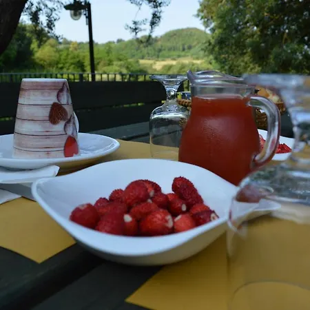 Farm stay Colle Del Barbarossa Teolo