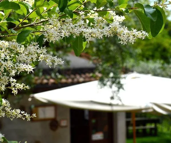 Colle Del Barbarossa Séjour à la ferme Teolo