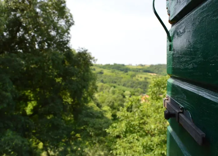 Фермерский дом Colle Del Barbarossa