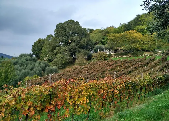Colle Del Barbarossa Teolo