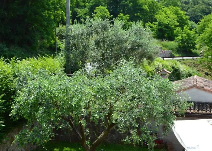 Colle Del Barbarossa Çiftlik konaklama Teolo
